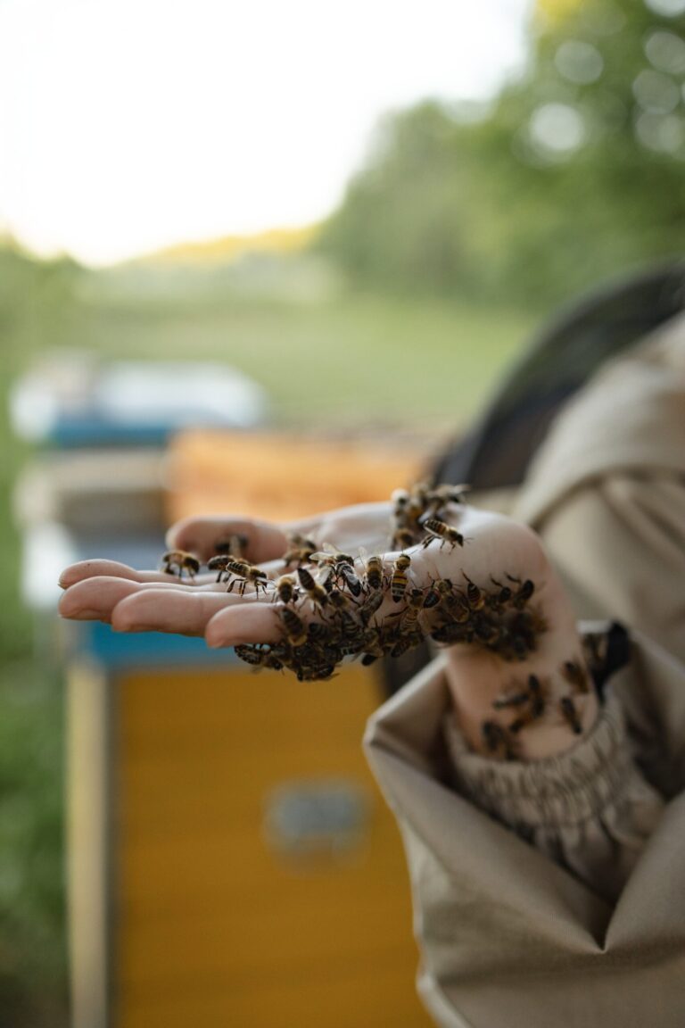 Apie 3r9a4806 edit min