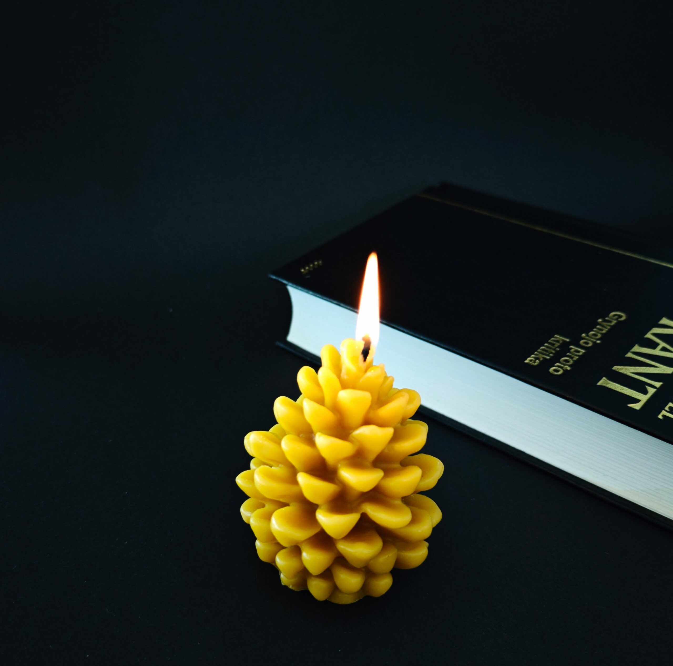 Žvakė konkorėžis Žvakė konkorėžis