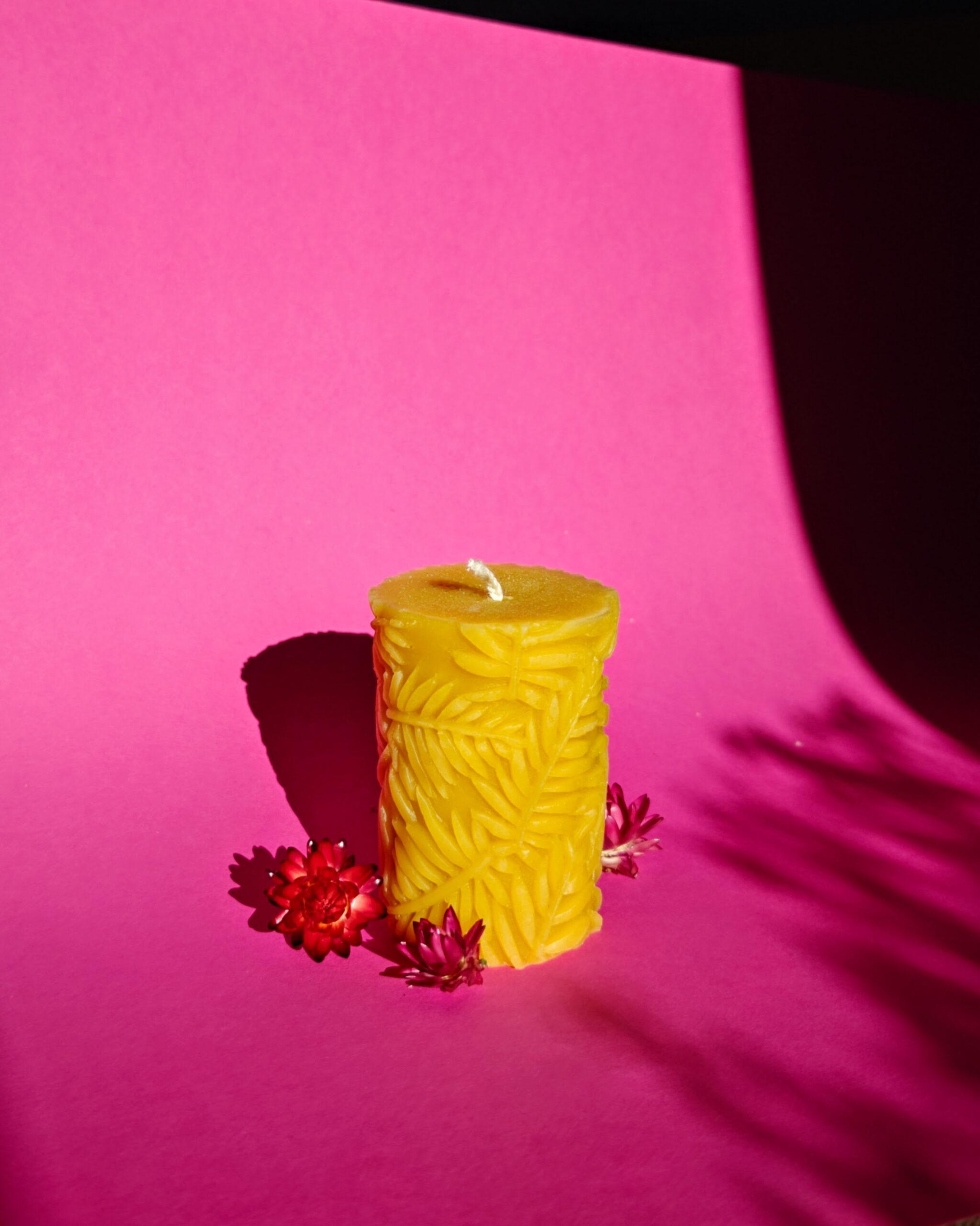 Žvakė cilindras "papartynas" Žvakė cilindras "papartynas"