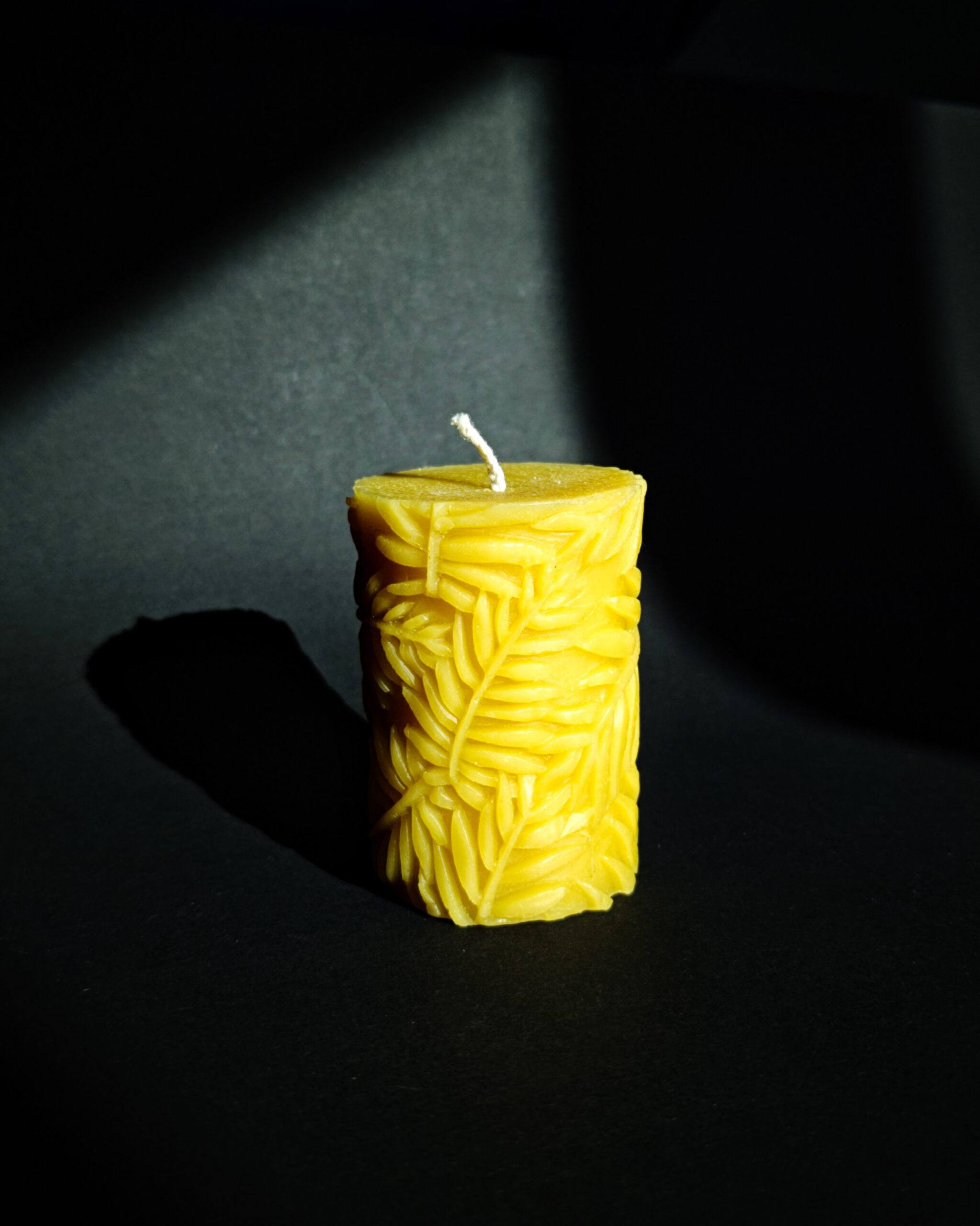 Žvakė cilindras "papartynas" Žvakė cilindras "papartynas"