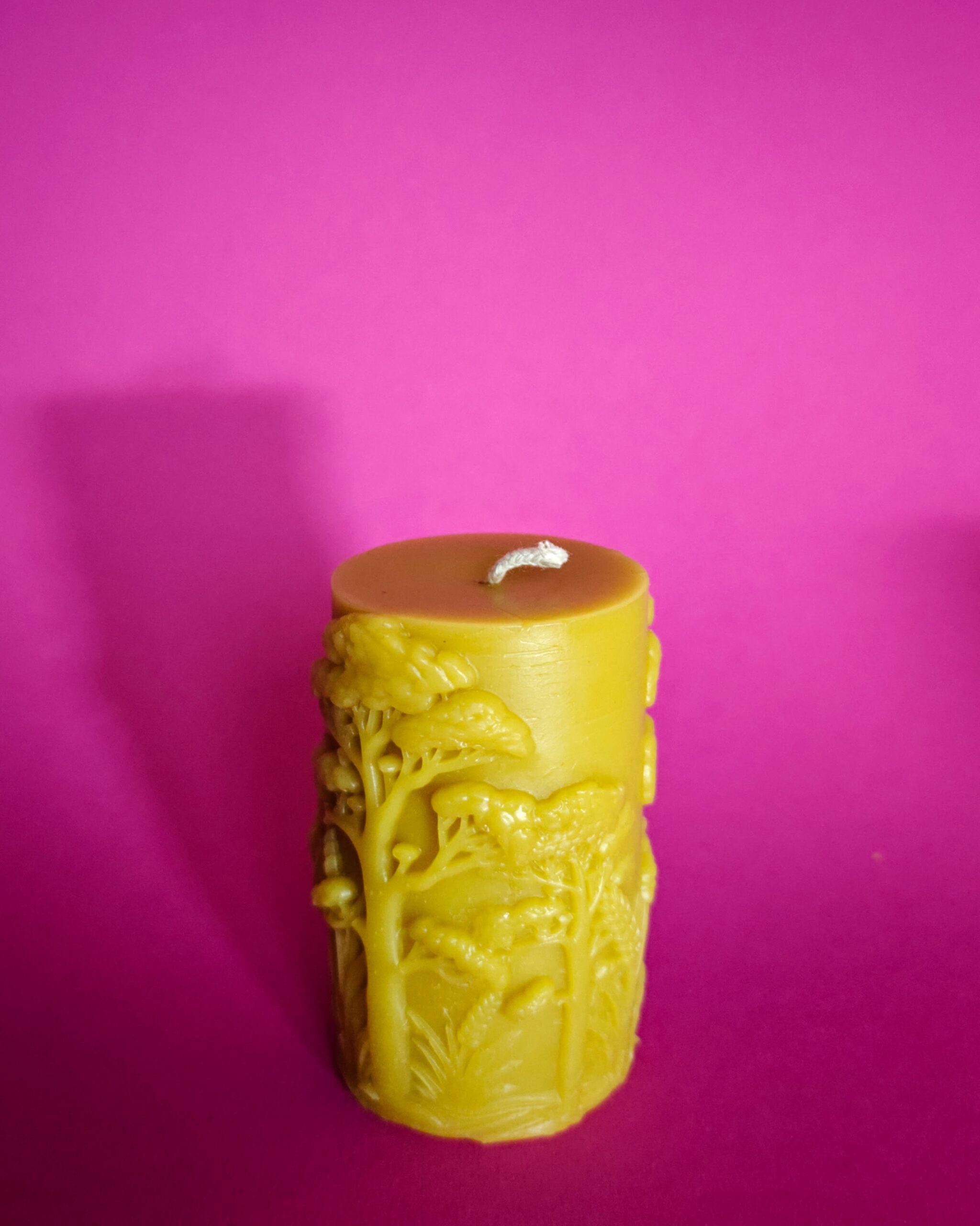 Žvakė cilindras "Žirgas" Žvakė cilindras "Žirgas"