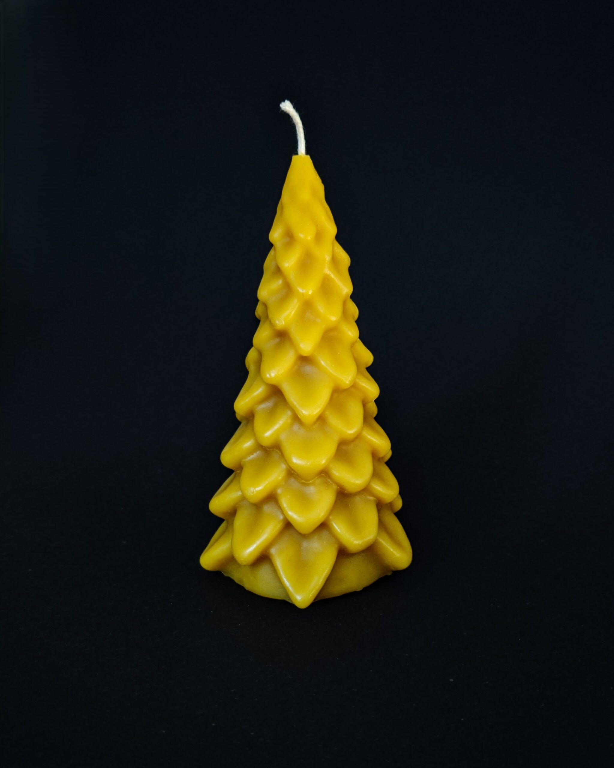 Žvakė apsnigta eglė