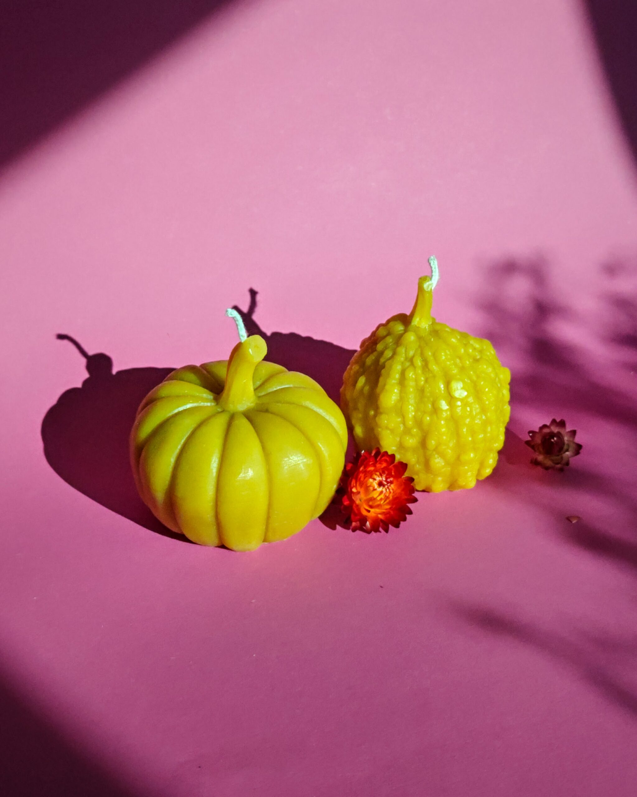 Žvakė moliūgas rupūžė Žvakė moliūgas rupūžė