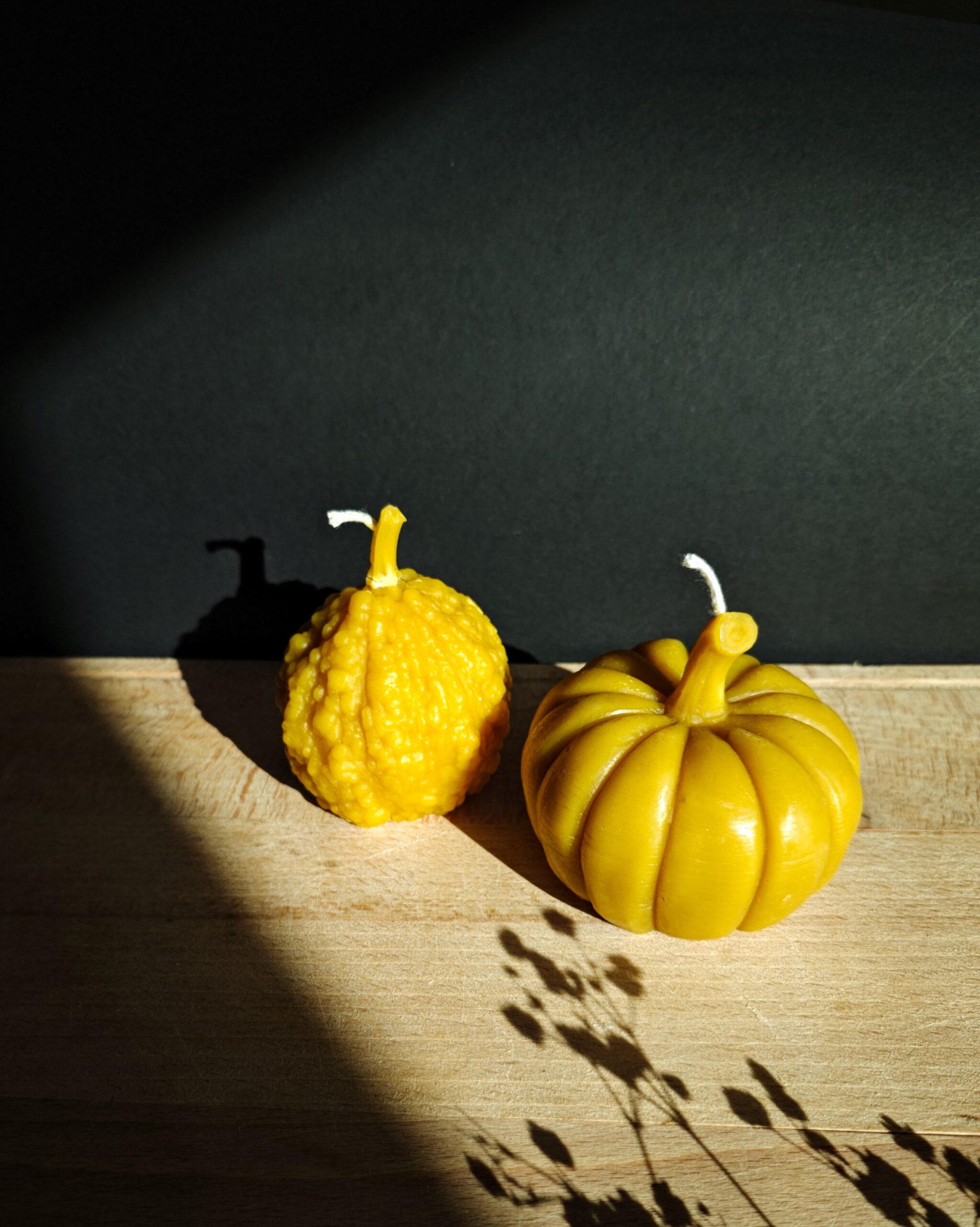 Žvakė moliūgas rupūžė Žvakė moliūgas rupūžė